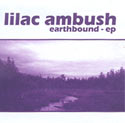 Lilac Ambush